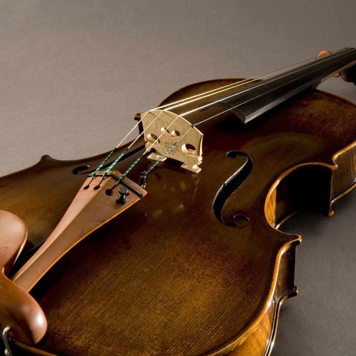 Concert Series Viola Pickup