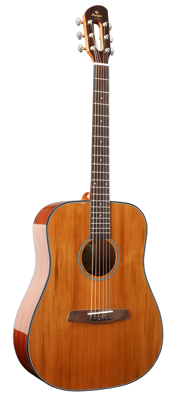 Guitarra Acústica Prodipe SD200